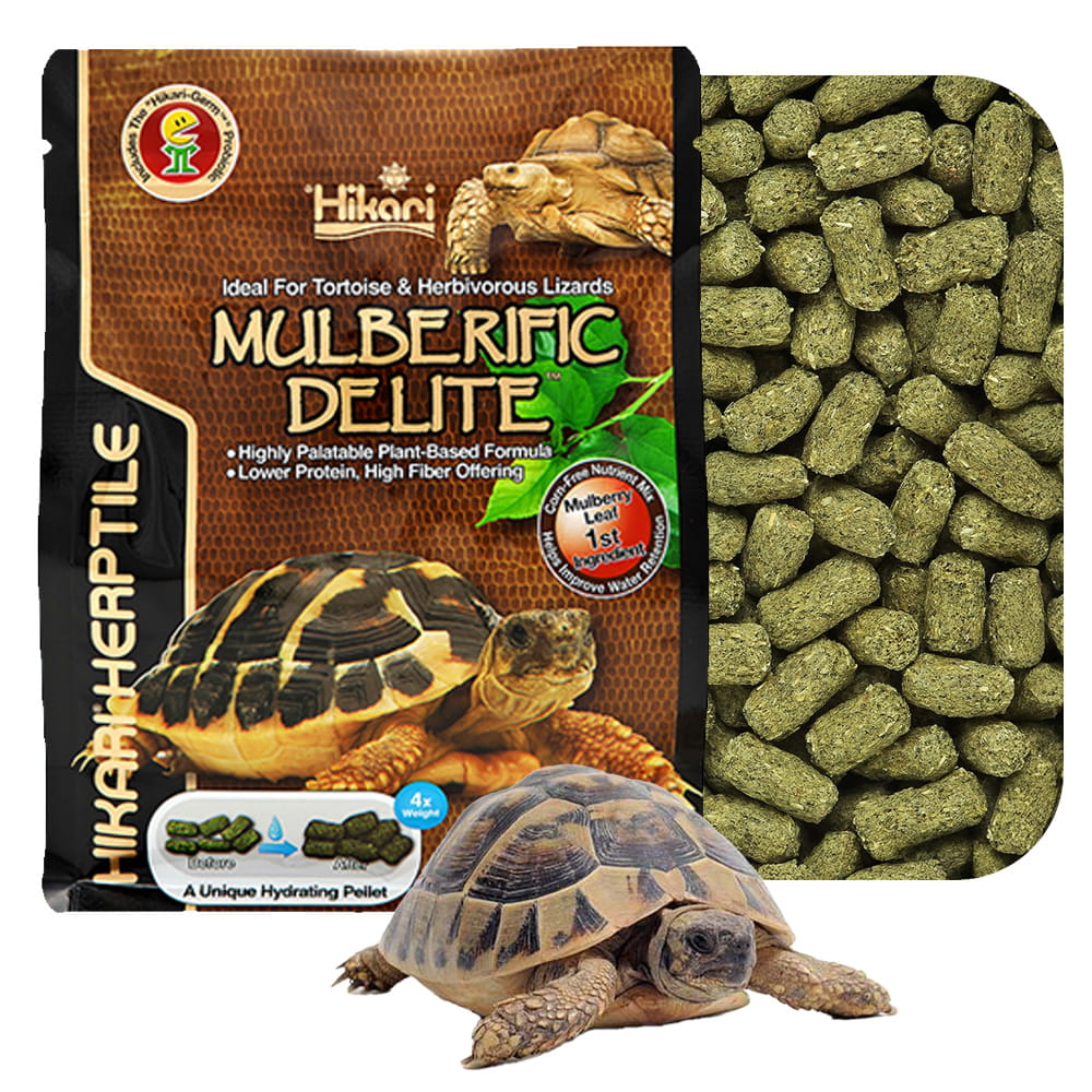 Hikari MULBERIFIC DELITE Pokarm dla Żółwi lądowych 650g